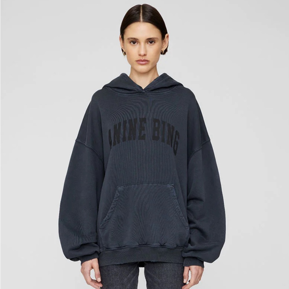 Anine bing sweatshirt